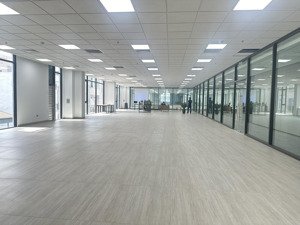 cho thuê vp giá rẻ nhất láng hạ, dt 500m2, giá tốt 10$ ~ 260 ngàn/m2 tại vũ ngọc phan - cực hot