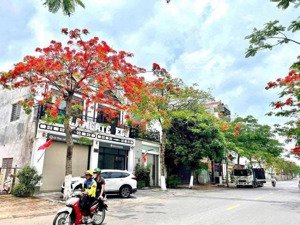 chính chủ bán nhà hai mặt tiền, 5 tầng, mt7m, phố phạm khắc quảng, vị trí kinh doanh, gần công viên