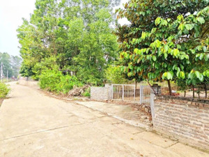 view cánh đồng dt 180m2 (60m2tc) thổ cư còn lại đất trồng cây lâu năm. mặt tiền 8.5m hướng đông nam
