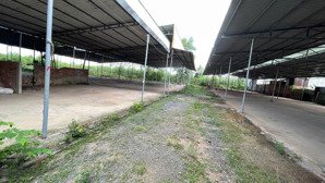 cho thuê xưởng 1,2 hecta khu vực lộc an, long thành, đồng nai. giá chỉ 50 triệu
