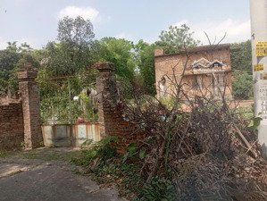 ngân hàng bán đất trục chính xã châu phong, tt quế võ