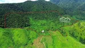 bán đất tại đt 601, hòa bắc, hòa vang, đà nẵng, 7ty2, 270000m2 sổ đỏ