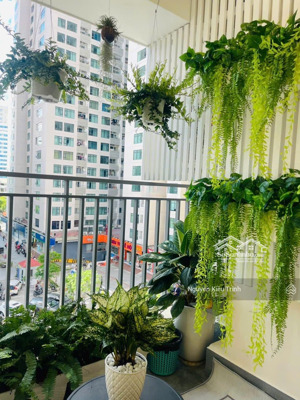 kiều trinh - hạ giá bán nhanh rẻ nhất thị trường căn hộ 2pn nội thất mới tinh kề góc 2a