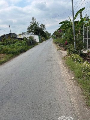 bán đất nền full thổ cư 140m2 tại tỉnh lộ 905, tân phú, tam bình, vĩnh long, 720 triệu