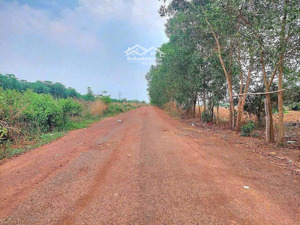 chính chủ gởi bán 1000m2 đất thanh lương, bình long, bình phước, giá chỉ 299 triệu, lh 