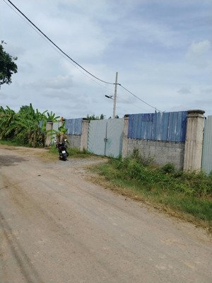 cho thuê đất đường nguyễn kim cương, củ chi, có điện 3 fa, dt 6000m2, giá 10tr/tháng