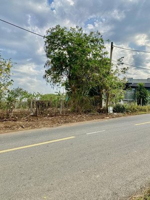 bán đất nông nghiệp ( cln ) huyện châu đức , tỉnh bà vũng tàu . quy hoạch phủ phủ hồng