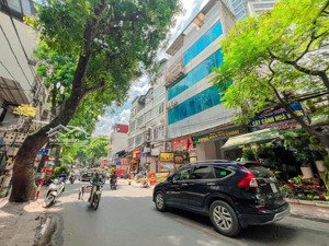 hoa hậu mặt phố hoàng hoa thám - 61m2 x 6 tầng thang máy có hầm - vỉa hè - kinh doanh sầm uất