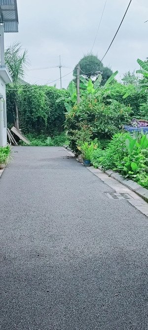 mảnh đất siêu đẹp siêu rẻ. hai mặt tiền vị trí tằng mi, nam hồng, đông anh, hà nội dt 40m2