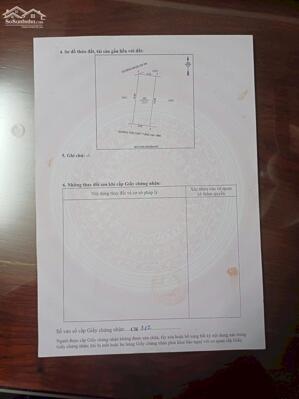 Bán lô 123m2 đất mặt đường Tôn Thất Tùng, P. Hưng Dũng - Đất đấu giá