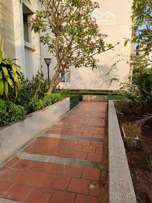 amber court - 94m2 - 10 triệu - full nội thất - có sân vườn góc đẹp