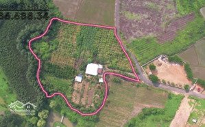 bán nhà vườn phủ hồng phước tân, xuyên mộc vị trí đẹp mặt tiền đường nhựa bao quanh
