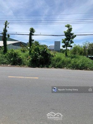 cần ra đi gấp lô đất 120m2 đường võ việt tân, nhị mỹ, gần chợ cai lậy, tiền giang. shr