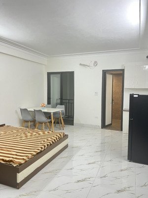 cho thuê studio mới tinh tại nguyễn đình chiểu - hbt