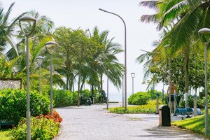toà khách sạn ngay phố đi bộ an thượng, giá tốt nhất thị trường, dòng thu cao 70 tr/tháng