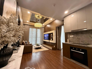 căn hộ chung cư cao cấp 2ngủ 2w full nội thất đẹp xịn