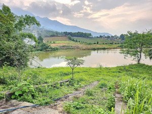 chính chủ gửi bán: bám mặt hồ gần 70m. cố đụng, tiến xuân, thạch thất. diện tích 2395m2 có 400m2