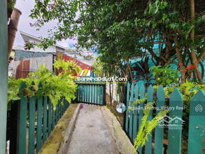 cần bán homestay đường đào duy từ, p.04, đà lạt 137m2, ngang 11, dài 14 mét