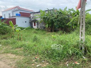 bán đất tại xã hồng quỳnh, thái thuỵ, thái bình, 1,599 tỷ, 147m2