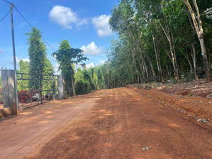 chính chủ cần bán 2200m2 đất vườn cao su tại xã tân hưng - đồng phú, shr giá rẻ