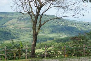 bán farm ngôi làng của gió cách sân bay tuy hoà chỉ 30km