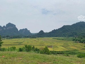 một siêu phẩm nghỉ dưỡng view triệu đô, tọa lạc tại lương sơn, hoà bình