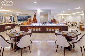 view cầu rồng sông Hàn giá chỉ 1,8 tỉ