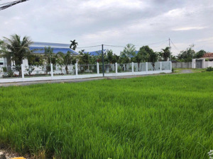 chính chủ bán nền thổ cư 100m2 và 600m2 đất vườn tại tân lân, cần đước, long an