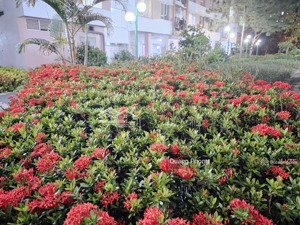 bán căn góc chung cư đặng xá gia lâm 70 m .