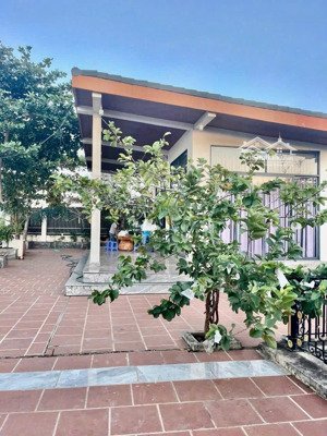 bán gấp nhà vườn đẹp mặt tiền bờ đê cửa lấp tp. vũng tàu, view sông cực đẹp, giá cực tốt