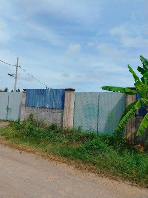 cho thuê đất 6000m2 một sẹc đường nguyễn kim cương, tân thạnh đông, củ chi