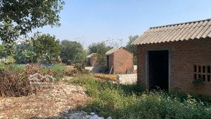 bán 2000m2 đất phú cát, quốc oai, giá tốt - cơ hội đầu tư chỉ có 1 lô duy nhất