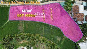 1000m2 full thổ cư cách đường minh mạng chỉ 20m mặt đường dài giá đầu tư