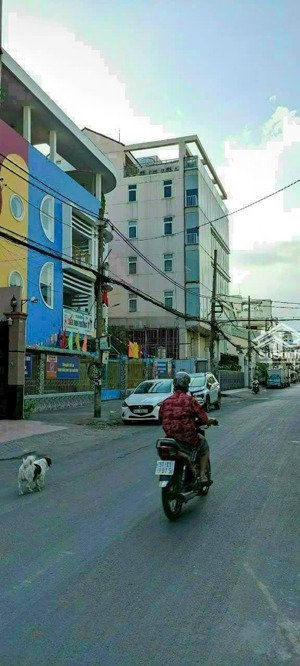chdv lê thị bạch cát quận 11, 5.6x20m, nở hậu 7m, 121m2, dòng tiền 70 triệu/ tháng