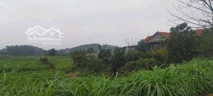 siêu phẩm đất vàng nghỉ dưỡng kim bôi cạnh dự án sungroup 1250m chỉ nhỉnh 2 tỷ