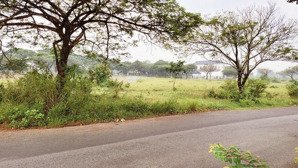 chính chủ bán 2 lô đất liền kề an phước, long thành tổng 1.196,2m², 1.100m² thổ cư, giá có tl