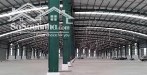 Cần cho thuê kho chứa hàng tại: Thuận An, Dĩ An, Tân Uyên, Bến Cát, Bình Dương, đa dạng giá rẻ