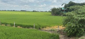 bán đất full thổ cư, đường đá, p3 kiến tường loang an
