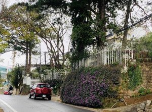 cô ba cần tiền cho con du học bán bớt lô đất p3, đà lạt, 264m2 giá ngộp sổ sẵn công chứng ngay