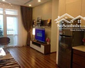 cho thuê căn hộ 2pn + 2 vệ sinh chung cư ct2b hoàng cầu