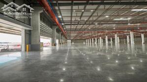 Cho thuê nhà máy đã hoàn công 11.616m2 trong KCN Củ Chi, TP.HCM