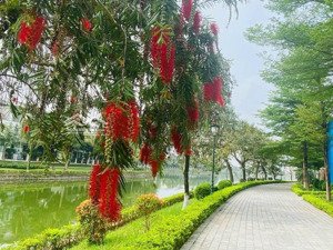 siêu phẩm biệt thự 310m2, đường trục chính 39m, sđcc giá đang tốt nhất thị trường! lh: 