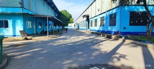 cho thuê xưởng kcn phú tài 10.000m2 đường trung tâm