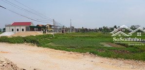 cần bán gấp quỹ đất đẹp, mt đào trí, p. phú thuận, q. 7. dt: 6200 m2 (có 200 thổ cư) còn lại đất nn