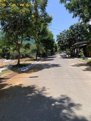chào bán lô đất đường tùng thiện vương, nam việt á giá rẻ nhất thị trường