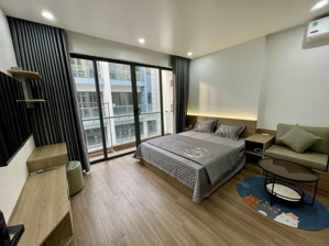 cho thuê căn hộ cao cấp waterfront city, 1 phòng ngủ tách bếp (40m2)