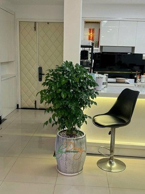 cần cho thuê căn hộ giai việt, tạ quang bửu, q. 8, 115m2, 2pn, 15 triệu/tháng