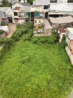 cho thuê đất tại hóc môn diện tích 808m2 vị trí đẹp, giá tốt