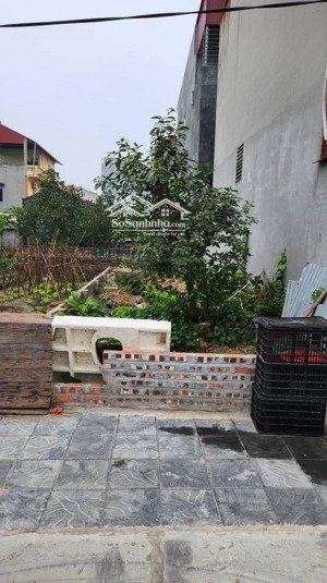 bán đất tây bầu, kim chung, đông anh, 150m2 t-h 8.6m view vườn hoa
