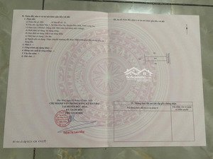 bán lô đất đường bê tông đẹp dt 5x24m sổ hồng riêng chỉ 1,3 tỷ